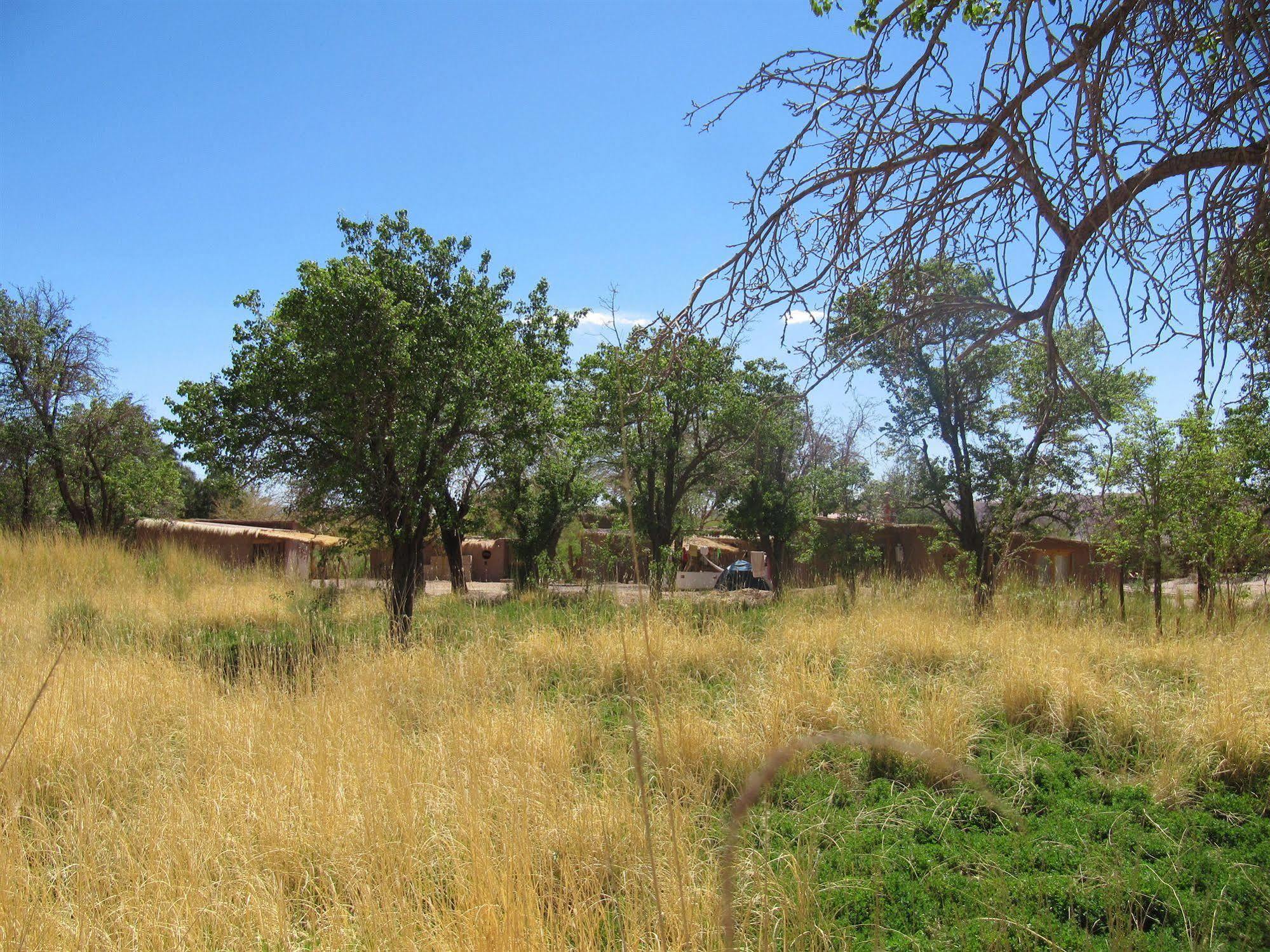 Rancho Quitapenas Bungalows San Pedro De Atacama Zewnętrze zdjęcie