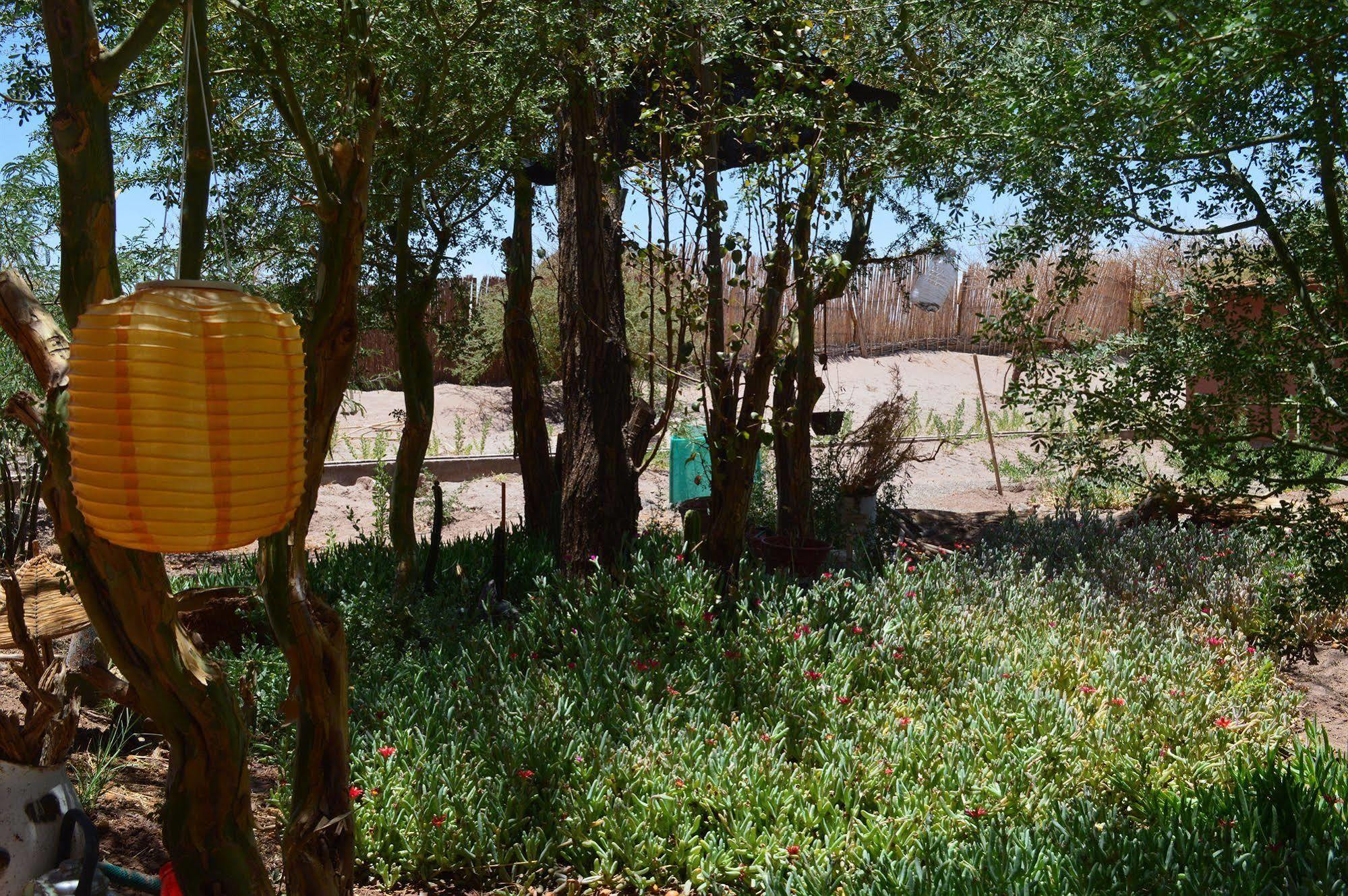 Rancho Quitapenas Bungalows San Pedro De Atacama Zewnętrze zdjęcie