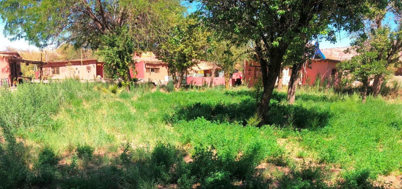 Rancho Quitapenas Bungalows San Pedro De Atacama Pokój zdjęcie
